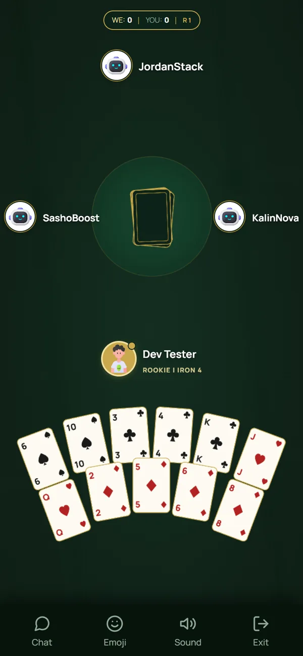 Your hand is dealt — 13 cards each, spades are trump. Your partner sits across the table.